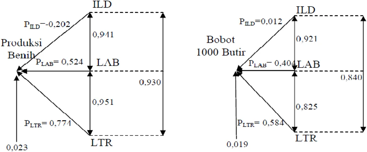 Gambar 2.  Diagram  sistem  lintasan hubungan kausal antara  ILD,  LAB  dan  LTR  umur 70 HST dengan produksi  (kiri) dan bobot 1000 butir (kanan)  Gambar  2  menunjukkan 