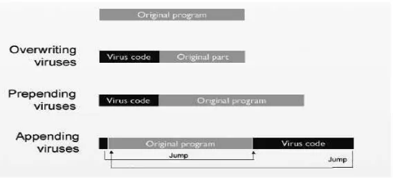 Gambar 2.3 Gambaran fisik virus komputer 
