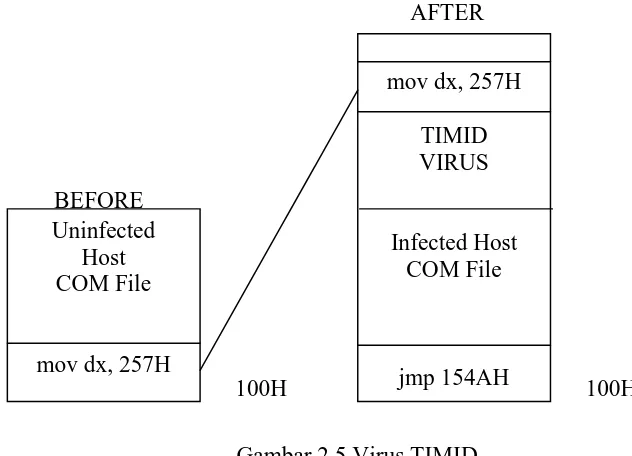 Gambar 2.5 Virus TIMID 