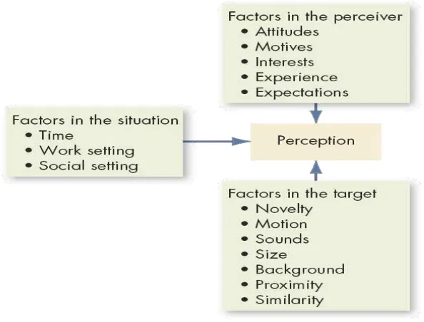 Figure 2.1 Factors that influence perception 
