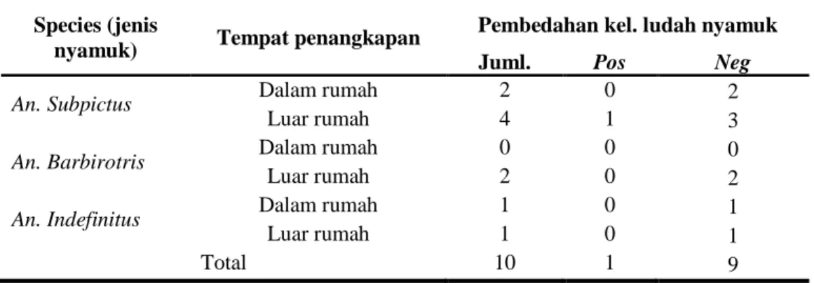 Tabel  3. Pembedahan Kelenjar Ludah Nyamuk Di Wilayah Kerja Puskesmas Bambu  Kabupaten Mamuju 2008