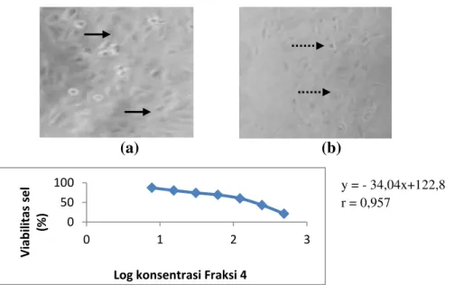 Gambar  3.  Efek  perlakuan  fraksi  4  terhadap  sel  Vero.  Pengamatan  dilakukan  di  bawah  mikroskop  inverted  dengan  pembesaran  100x