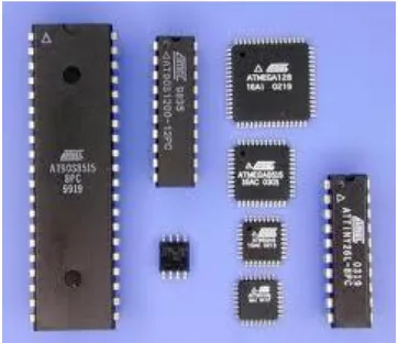 Gambar 2.1 Berbagai Jenis Mikrokontroler 
