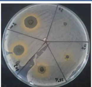 Tabel  1.  Hasil  Uji  Aktivitas  Variasi  Konsentrasi  Ekstrak  Daun  Ashitaba  (Angelica  keiskei)  terhadap pertumbuhan bakteri Staphylococcus aureus 
