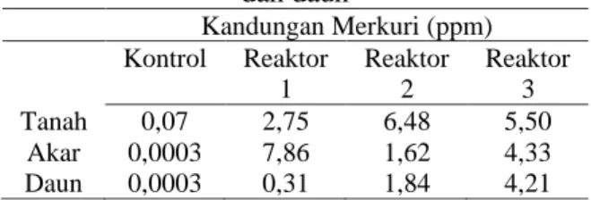 Tabel 2. Kandungan merkuri pada tanah, akar  dan daun  Kandungan Merkuri (ppm)  Kontrol  Reaktor  1  Reaktor 2  Reaktor 3  Tanah  0,07  2,75  6,48  5,50  Akar  0,0003  7,86  1,62  4,33  Daun  0,0003  0,31  1,84  4,21 