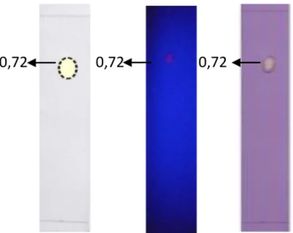 Gambar  1.  Hasil  Kromatografi  Lapis  Tipis        (a)  Pengamatan  Secara  Visual  (b)  Pengamatan dibawah sinar UV 366 nm  (c)  Pengamatan  Setelah  disemprotkan  DPPH  