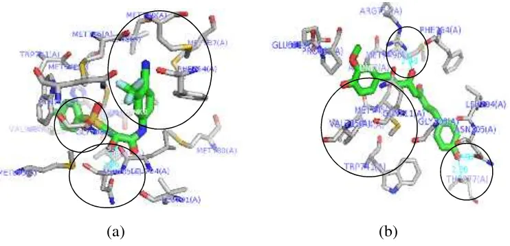 Gambar 6 Visualisasi molecular docking dari interaksi (ikatan hidrogen, interaksi hidrofobikdan interaksi eletrostatik) (a) bikalutamida, (b) analog 2 terhadap reseptorandrogen dengan PyMOL 1.3