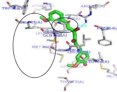 Gambar 9 Visualisasi molecular docking dari interaksi (ikatan hidrogen, interaksi hidrofobikdan interaksi eletrostatik) (a) analog 3, (b) analog 4 terhadap reseptor androgendengan PyMOL 1.3