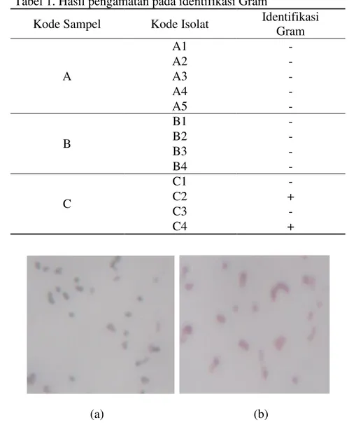 Gambar  2.  Foto  mikroskopi  pewarnaan  Gram  pada  bakteri  (a)  bakteri  (C2)  menunjukkan bakteri Gram positif (b) bakteri (B3) menunjukkan bakteri  Gram negatif