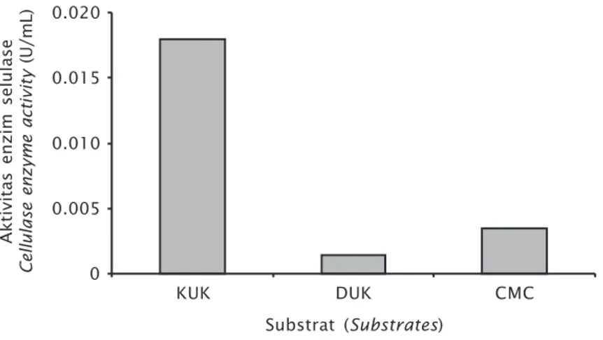 Figure 4. Activity of cellulase enzyme of TS2b isolate on various sub- sub-strates