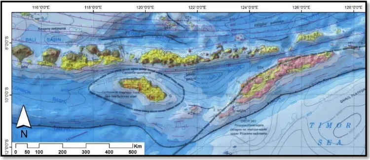 Gambar 2.1 Tektonik regional Nusa Tenggara (Modifikasi dari Hamilton, 