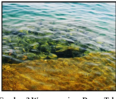 Gambar 3 Warna perairan Danau Toba