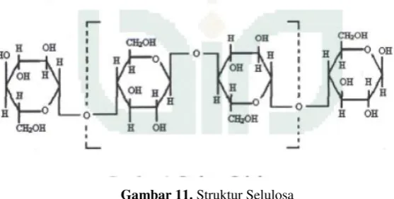 Gambar 11. Struktur Selulosa 
