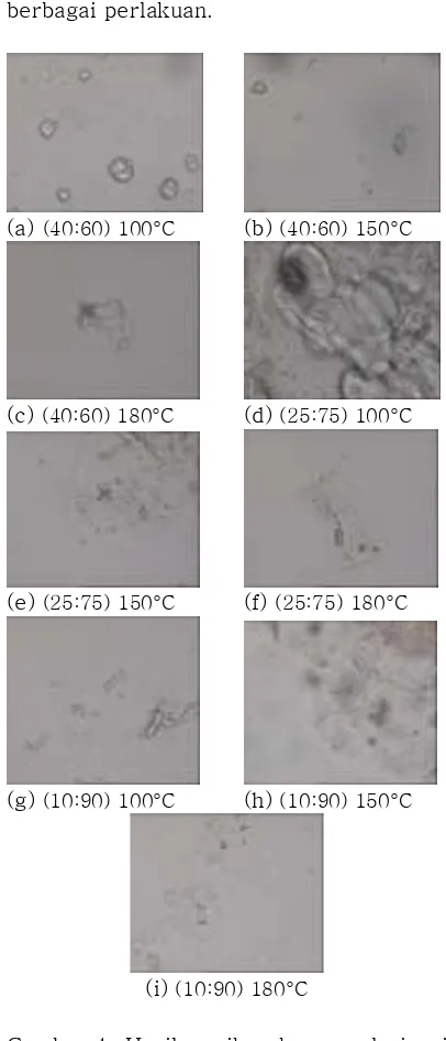 Gambar 4. Hasil mikroskop polarisasi ekstrudat terhadap berbagai komposisi (Kacang Bogor : Ubi jalar merah) dan suhu