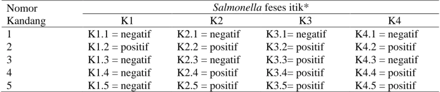Tabel 1. Analisa awal Salmonela sp pada feses segar itik penelitian  Nomor 