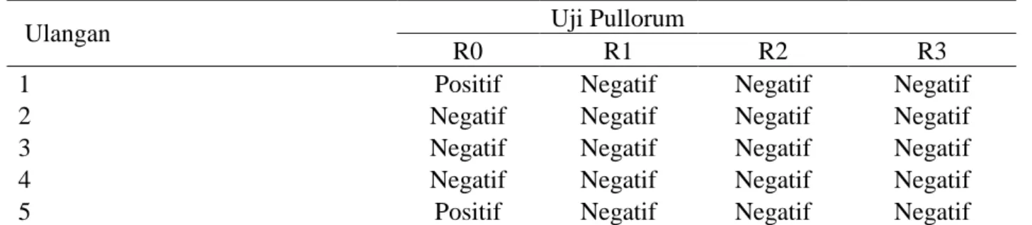 Tabel 3. Uji Pullorum RPAT (rapid plate aglutination test) 