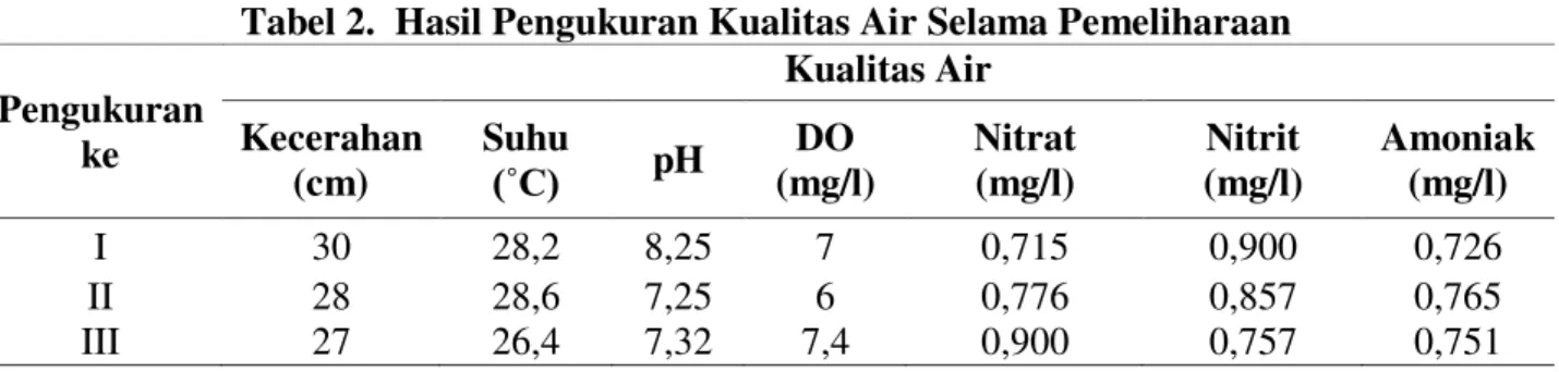 Tabel 2.  Hasil Pengukuran Kualitas Air Selama Pemeliharaan  Pengukuran  ke  Kualitas Air Kecerahan  (cm)  Suhu  (˚C)  pH  (mg/l) DO  Nitrat (mg/l)  Nitrit  (mg/l)  Amoniak (mg/l)  I  30  28,2  8,25  7  0,715  0,900  0,726  II  28  28,6  7,25  6  0,776  0,