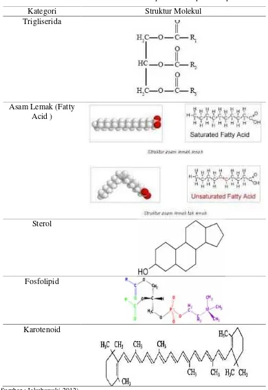 Tabel 3. Struktur Molekul Komponen-Komponen Lipid