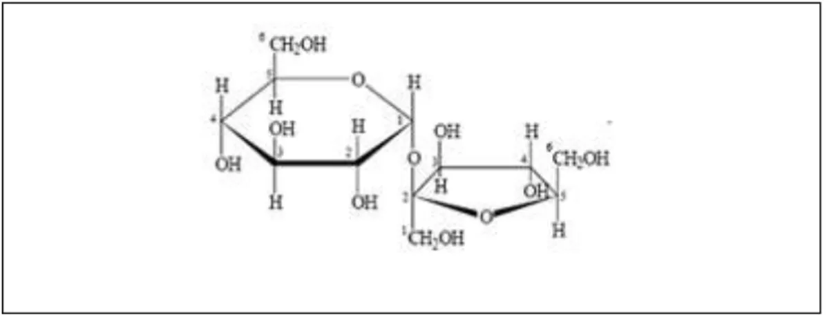 Gambar 2. Struktur Molekul Sukrosa 