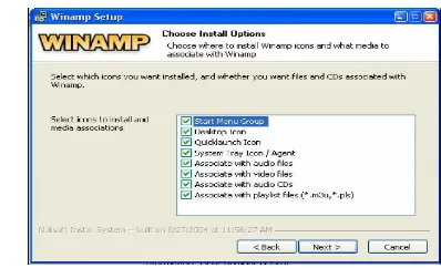 Gambar Winamp setup: Choose Install Options 