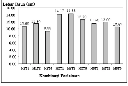 Gambar 3. Pengaruh perlakuan komposisi media tanam dan interval pemberian air terhadap jumlah daun selada (helai) umur 31 hari 