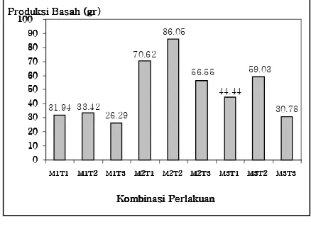 Gambar 7.  Pengaruh perlakuan komposisi media tanam dan interval pemberian air terhadap produksi bobot basah tanaman selada (gram) umur 31 hari 