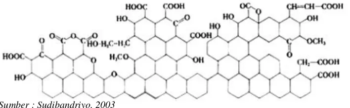 Gambar 8. Ilustrasi Struktur Kimia Karbon Aktif 