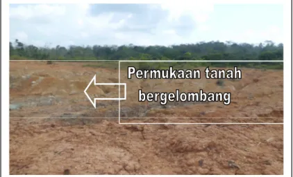 Gambar 2. Kondisi permukaan tanah timbunan pada lahan bekas tambang Pit-2 PT AMI 