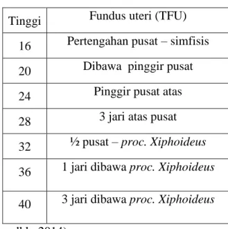 Tabel 2.1 TFU Menurut Usia Kehamilan 