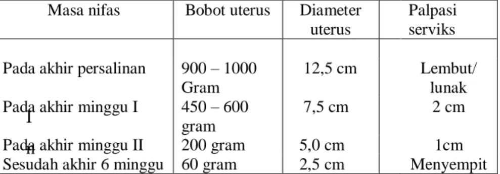 Tabel 2.4.    Perubahan normal pada uterus 
