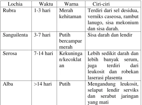Table 7 Perbedaan Masing-masing Lochea 