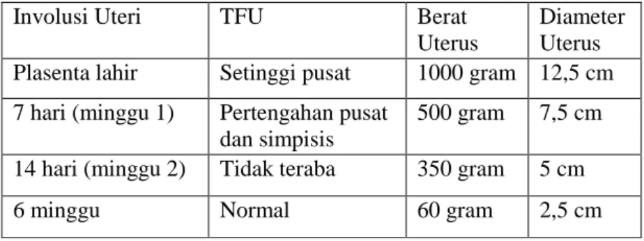 Tabel 2.8. Perubahan-Perubahan Normal Pada Uterus  Selama Postpartum 