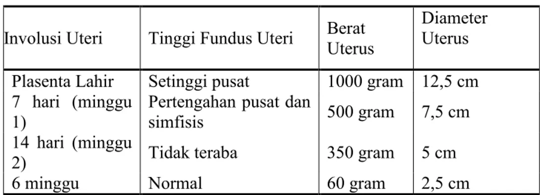 Tabel 2.7  Involusi Uterus 