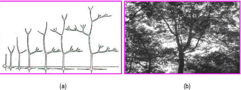 Gambar 4.  Sketsa Pola Percabangan pada Model Arsitektur Pohon  Masart (a) dengan Contoh  