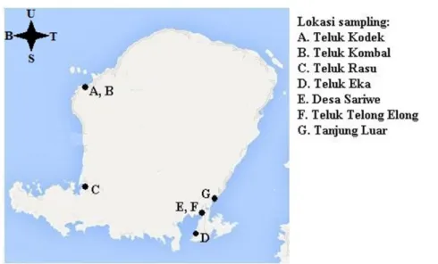 Gambar 1. Lokasi sampling Uca vocans. 