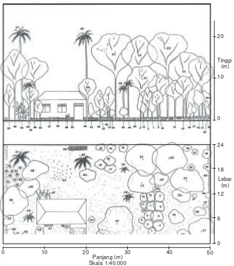 Tabel 3. Stratifikasi tanaman pada tipe luasan pekarangan 1200 m2 