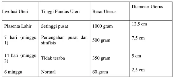 Tabel 2.10  Involusi Uterus 