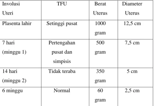 Tabel  1.  Perubahan-perubahan  normal  pada  uterus  selama  postpartum  Involusi  Uteri  TFU  Berat  Uterus  Diameter Uterus  Plasenta lahir  Setinggi pusat  1000 