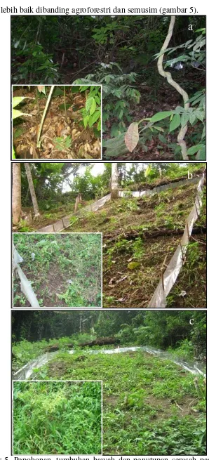 Gambar 5. Pepohonan, tumbuhan bawah dan penutupan serasah pada hutan (a), agroforestri (b), dan semusim (c)