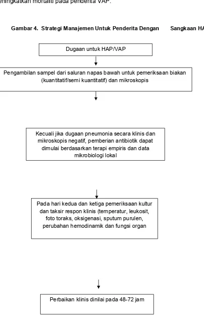 Gambar 4.  Strategi Manajemen Untuk Penderita Dengan       Sangkaan HAP/VAP46 