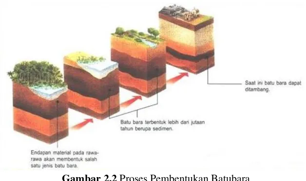 Gambar 2.2 Proses Pembentukan Batubara 