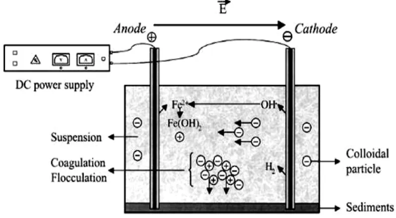 Gambar 2.1 Prinsip dari Proses Elektrokoagulasi (Ni’am,M.F., 2007) 
