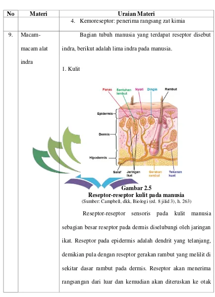 Gambar 2.5 Reseptor-reseptor kulit pada manusia 