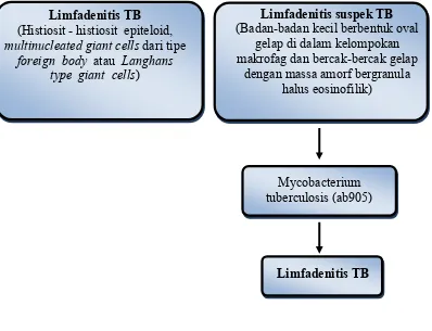 Gambar 2.8. Skema Kerangka Konsepsional 