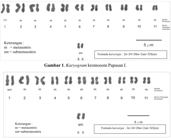Gambar 2. Karyogram kromosom Papasan II.