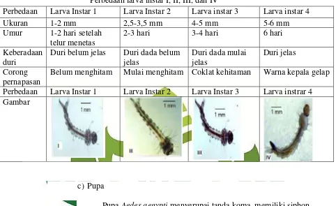 Tabel 2.2 Perbedaan larva instar I, II, III, dan IV 