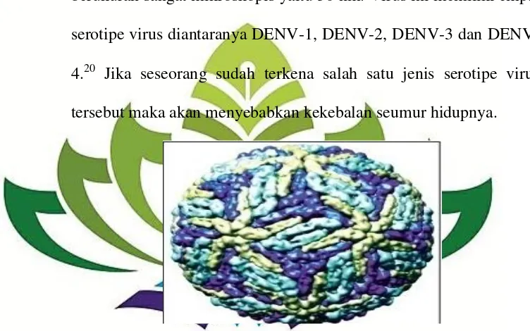 Gambar 2.6 Virus Flavivirus dengan mikroskop elektron  Sumber: National Guidelines for Clinical Management of Dengue Fever, 2015