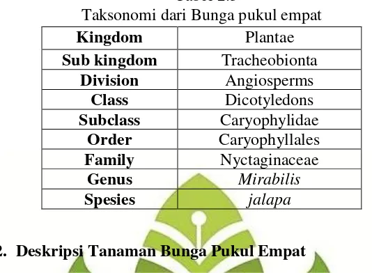 Tabel 2.3 Taksonomi dari Bunga pukul empat 