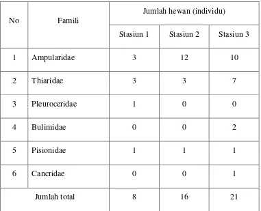 Tabel 4.2 Komposisi hewan makrobentos di sungai Sumur Putri Teluk Betung 