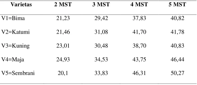 Tabel 1. Rataan tinggi tanaman (cm) pada umur 2,3,4 dan 5 minggu setelah tanam (MST). 